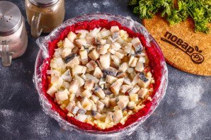 Сельдь под куполом