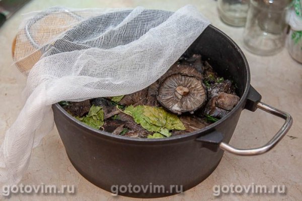 Соленые черные грузди (горячий способ) Соленые черные грузди (горячий способ)