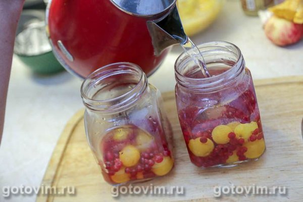 Компот из желтой алычи и красной смородины на зиму