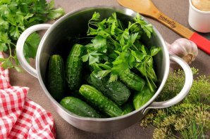 Малосольные огурцы быстрого приготовления в кастрюле