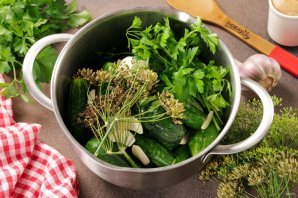 Малосольные огурцы быстрого приготовления в кастрюле