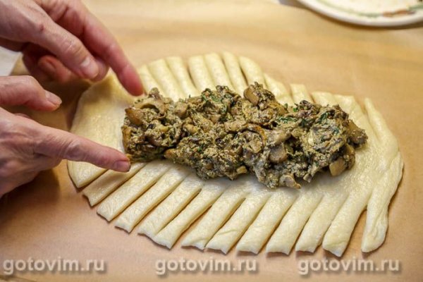 Пирог-плетенка с белыми грибами в сметане с яйцом