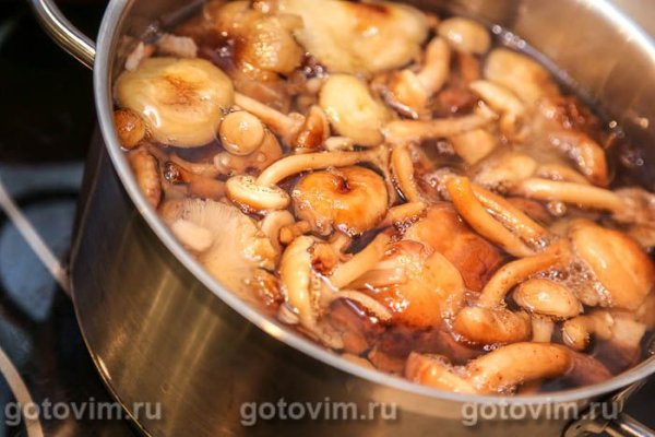 Жареные опята со сметаной