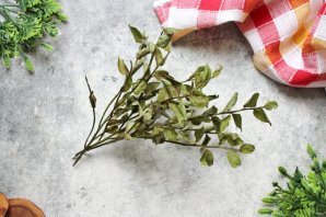 Чай из листьев черники