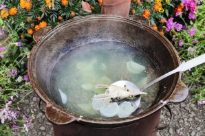 Уха из стерляди на костре Уха из стерляди на костре