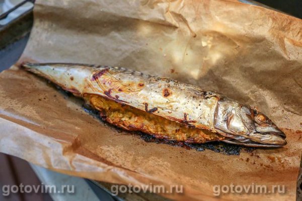 Фаршированная тыквой скумбрия, запеченная в пергаменте Фаршированная тыквой скумбрия, запеченная в пергаменте