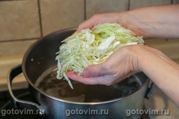 Мясные щи с фасолью, квашеной и свежей капустой Мясные щи с фасолью, квашеной и свежей капустой