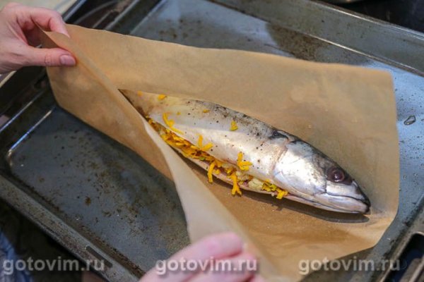 Фаршированная тыквой скумбрия, запеченная в пергаменте Фаршированная тыквой скумбрия, запеченная в пергаменте