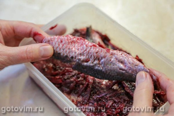 Иваси соленая (со свеклой)