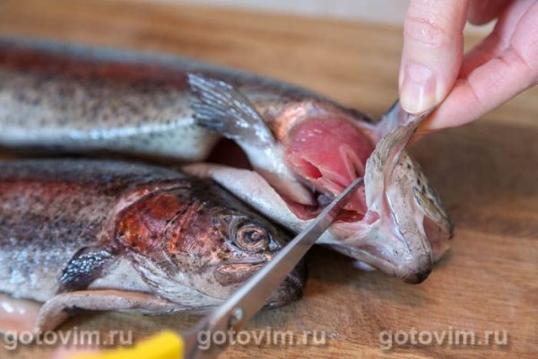 Форель, запеченная с морской солью в пергаменте