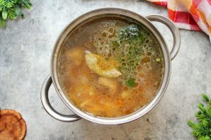 Молдавская Зама