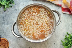 Молдавская Зама