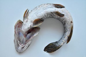 Щучьи котлеты с беконом