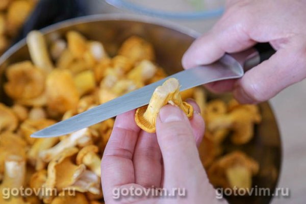 Лисички в сметане в мультиварке 
