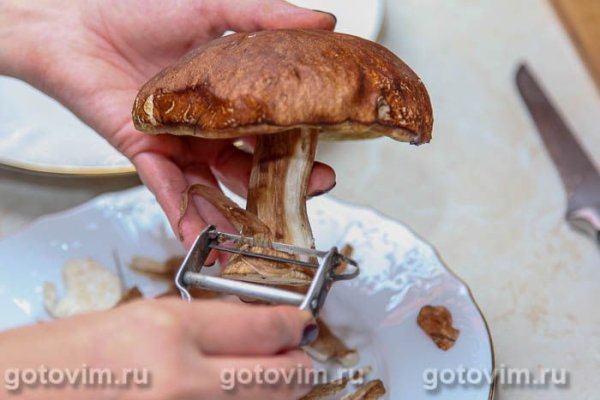 Соленые белые грибы Соленые белые грибы