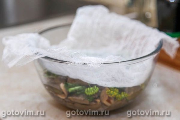 Соленые белые грибы Соленые белые грибы