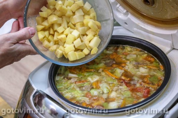 Летние щи с лисичками в мультиварке