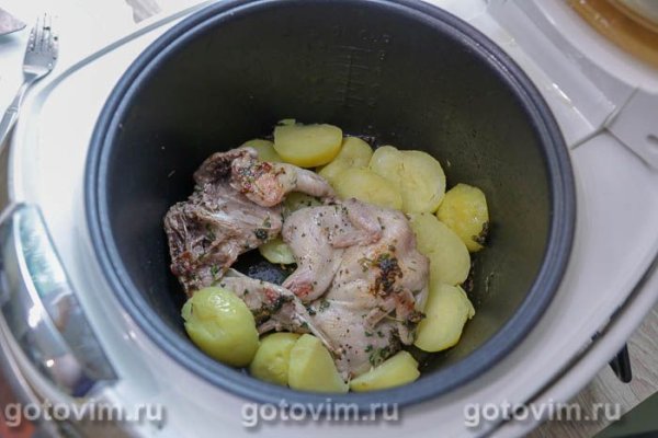 Перепела с чесноком и зеленью, жаренные в мультиварке (в стиле &laquo;тапака&raquo;)