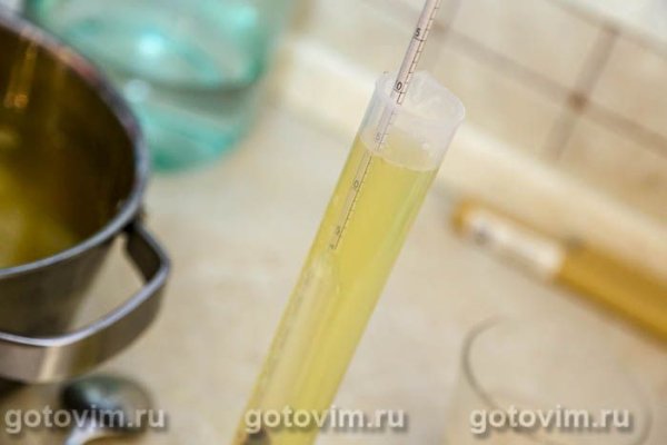 Медовуха ставленная на винных дрожжах Медовуха ставленная на винных дрожжах